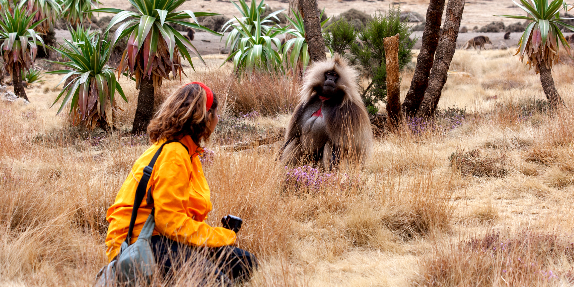 Simien Mountains Trek